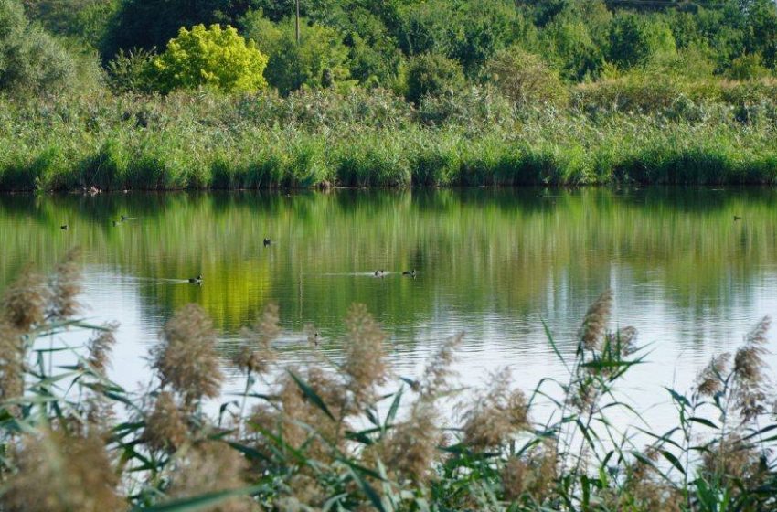  Laguna sistema za prečišćavanje otpadnih voda kao lokalitet predložen za zaštitu
